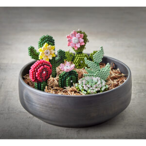 HAMA ART - SUCCULENTS - HAMA - Image 3