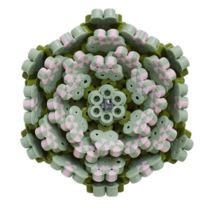 HAMA ART - SUCCULENTS - HAMA - Image 6