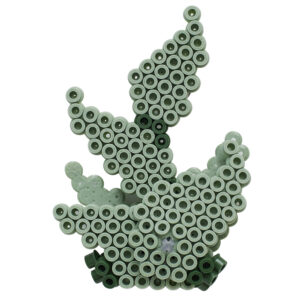 HAMA ART - SUCCULENTS - HAMA - Image 5