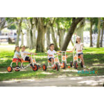 534048_em5501-edusante-es-trike-large_high_res_1