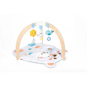 SNUGGLE BEAR ACTIVITY GYM - HAPE - Image 3