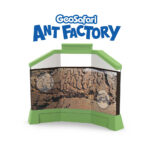 EI5147-Geosafari-Ant-Factory_01