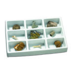 EI5204_fossil collection_high_res_6