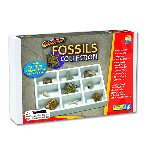 LIMITED AVAILABILTY - FOSSIL COLLECTION - EDUCATIONAL INSIGHTS ...