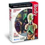 LER3336_human body anatomy model_high_res_4