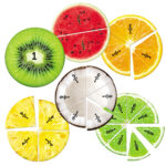 LER5068-Magnetic-Fruit-Fractions_02