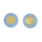 LRM2361_canadian toonie coin 50pcs _high_res_1