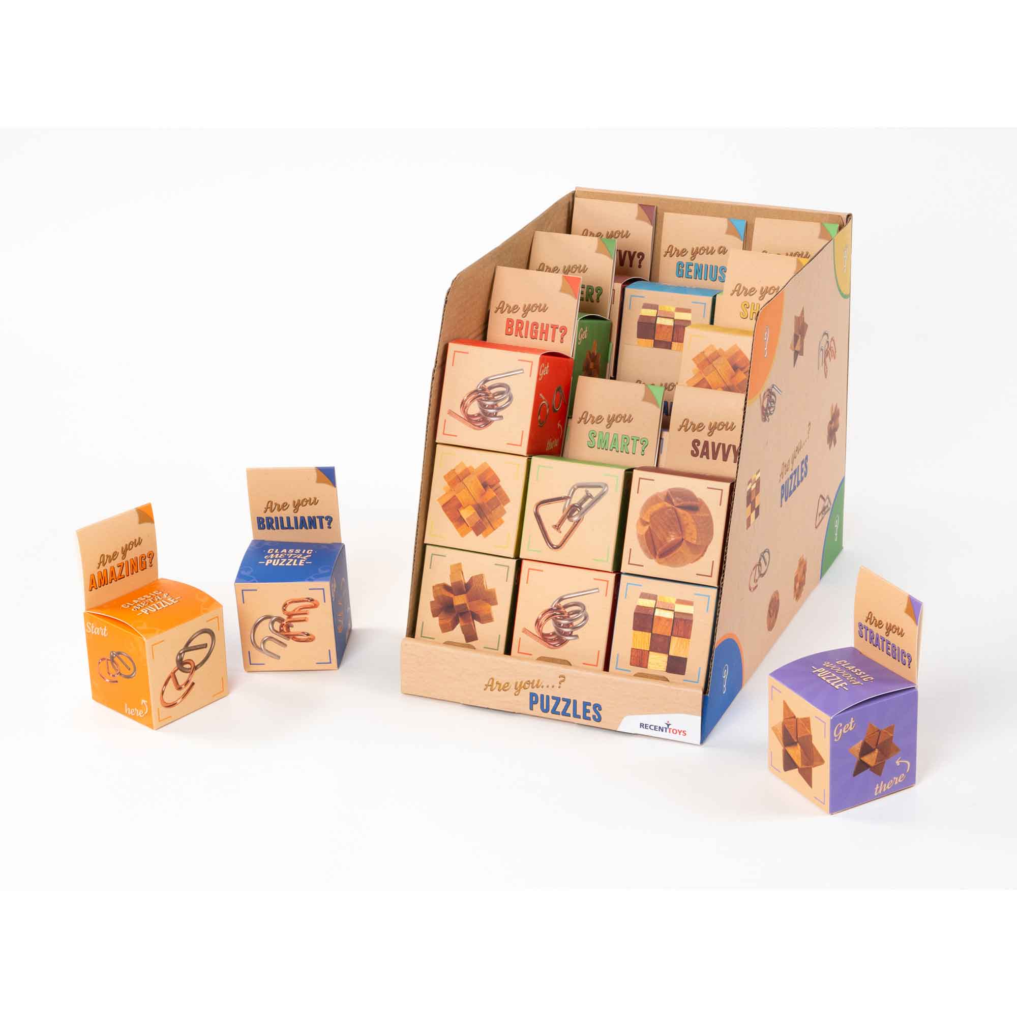 "ARE YOU" SERIES BRAIN PUZZLE (27PCS/DISPLAY--9ASST) - RECENT TOYS