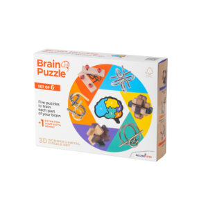 BRAIN PUZZLE - SET OF 6 - RECENT TOYS