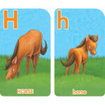 SZ05014_go-fish-alphabet-flash-cards_high_res_5